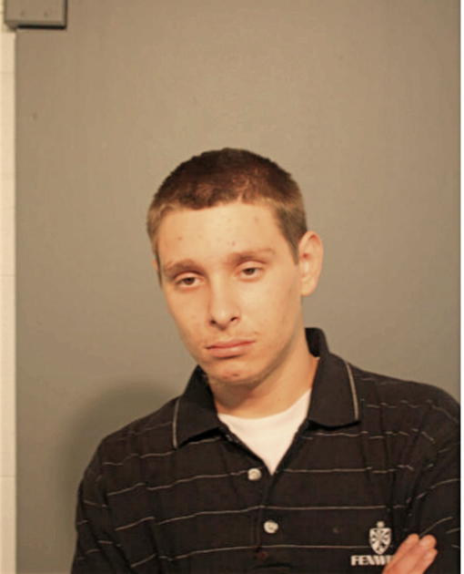 RYAN A MEISTER, Cook County, Illinois