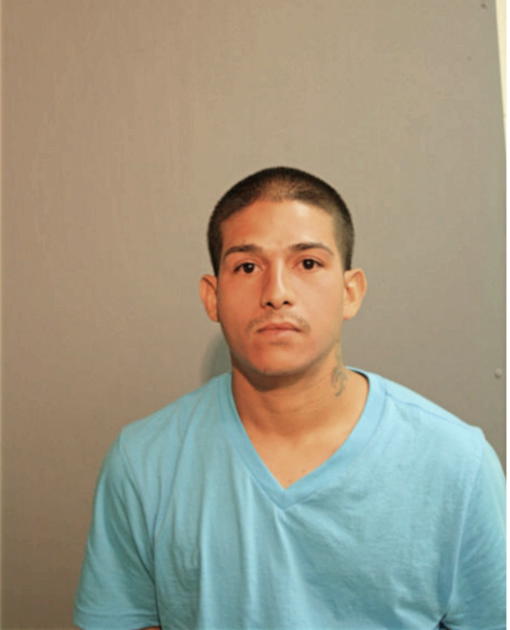 ARCILIO NAVARRO, Cook County, Illinois