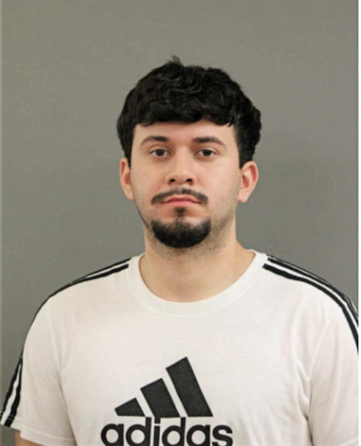 ALEXIS J SALAS, Cook County, Illinois