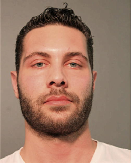 PREDRAG SIMIC, Cook County, Illinois