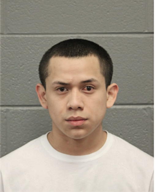 DANIEL M ALCANTARA, Cook County, Illinois