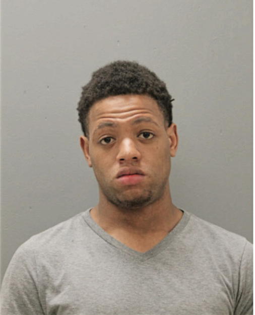DAMEIAN T ANDERSON, Cook County, Illinois