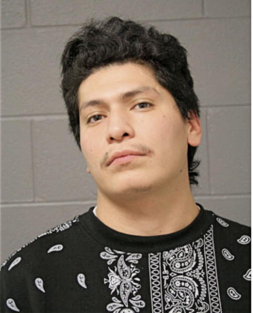 MARTIN CAMERNA, Cook County, Illinois
