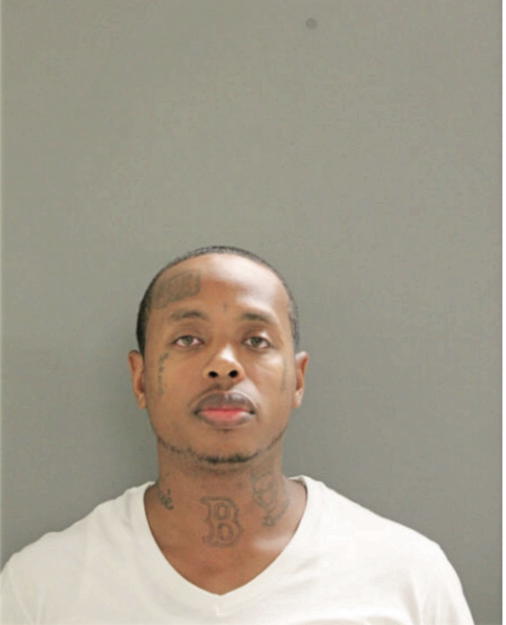 TERRENCE L DAVIS, Cook County, Illinois
