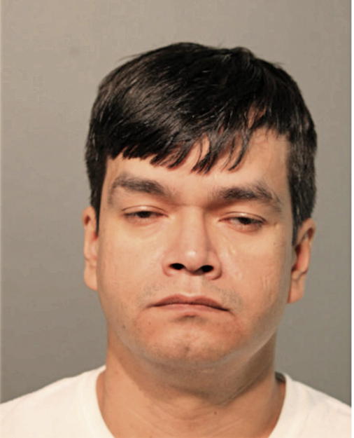 PORFIRIO DELGADO, Cook County, Illinois