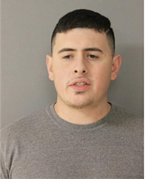 ROBERTO DIAZ, Cook County, Illinois