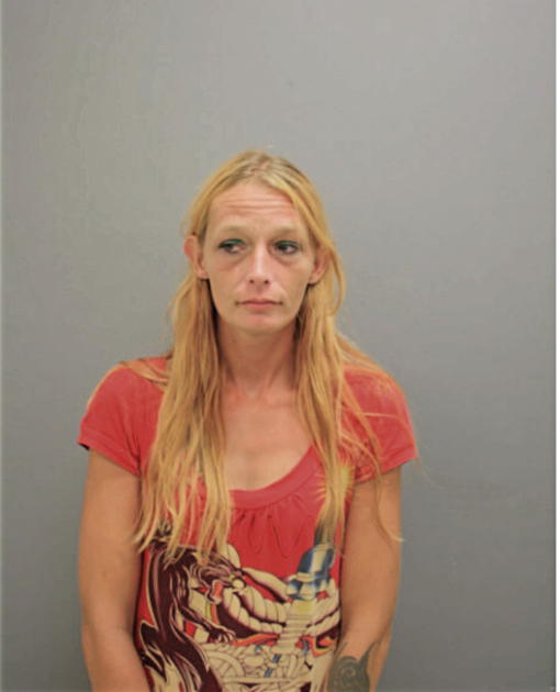 HEATHER D ETHERIDGE, Cook County, Illinois