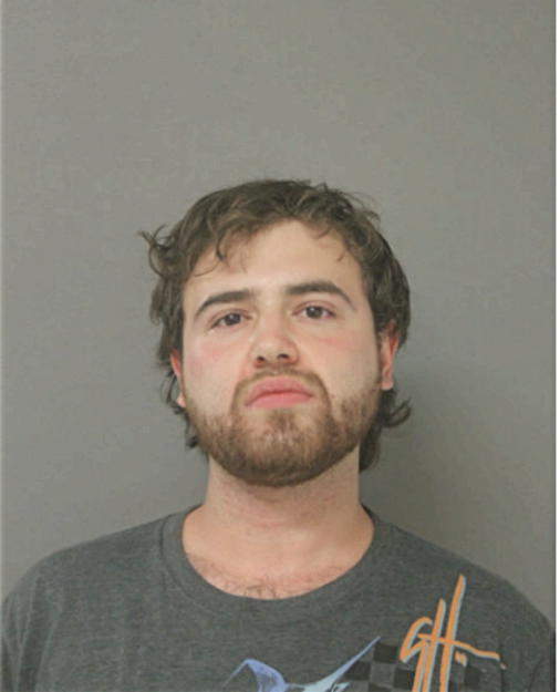 DAVID A GREENBERG, Cook County, Illinois