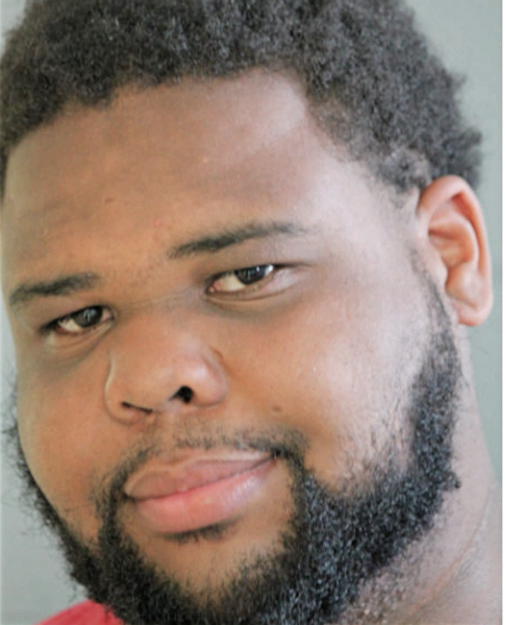 DION T HAYNES, Cook County, Illinois