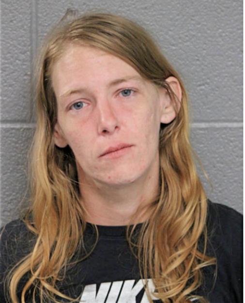 SHANNON M HEGE, Cook County, Illinois