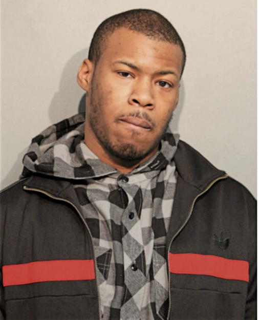 MICHAEL D JAMES, Cook County, Illinois