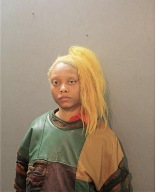 JAZZMIN C JOHNSON, Cook County, Illinois