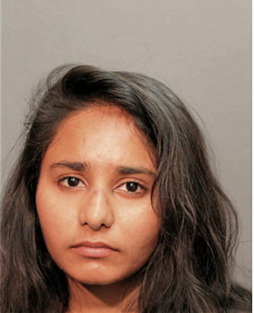 AAMIR KANZA, Cook County, Illinois
