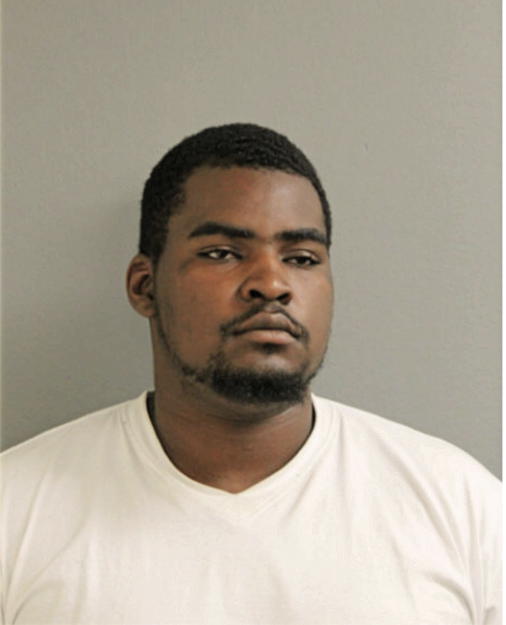 AARON R L WHITE, Cook County, Illinois