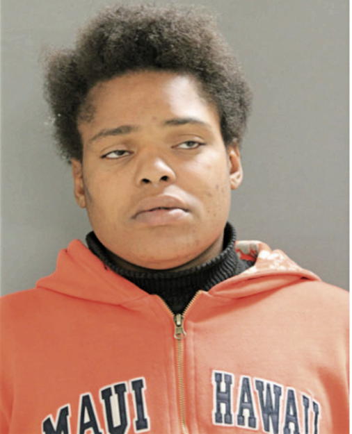 JECHAUNA L LEWIS, Cook County, Illinois