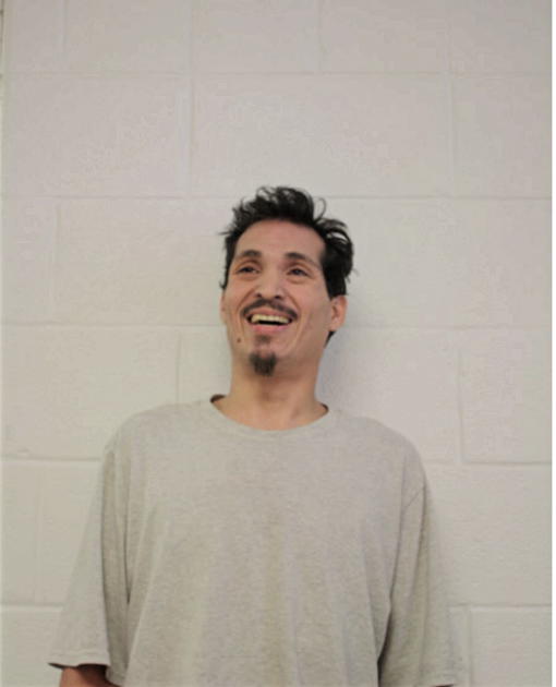 LUIS A LUGO, Cook County, Illinois