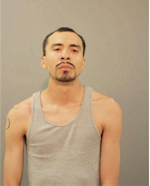 CESAR MARTINEZ, Cook County, Illinois