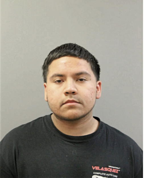 ERIK MAULEON, Cook County, Illinois