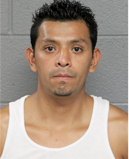 MELVIN J MOJICA, Cook County, Illinois