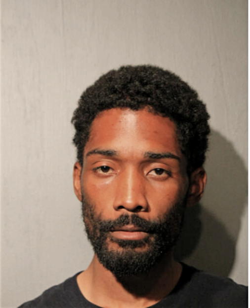 RYAN A PETERSON, Cook County, Illinois