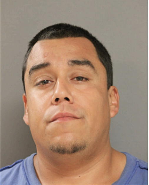 PETER D PINEDA, Cook County, Illinois