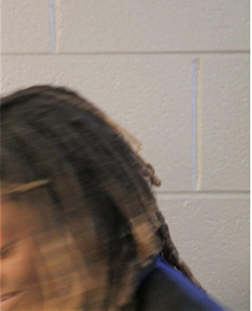 ANDRIANNE A PRICE, Cook County, Illinois