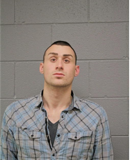DEREK S RADESKY, Cook County, Illinois