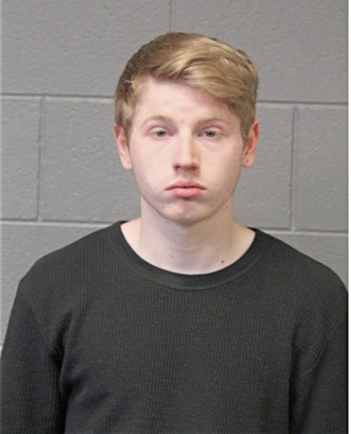 NICHOLAS D STEVENS, Cook County, Illinois