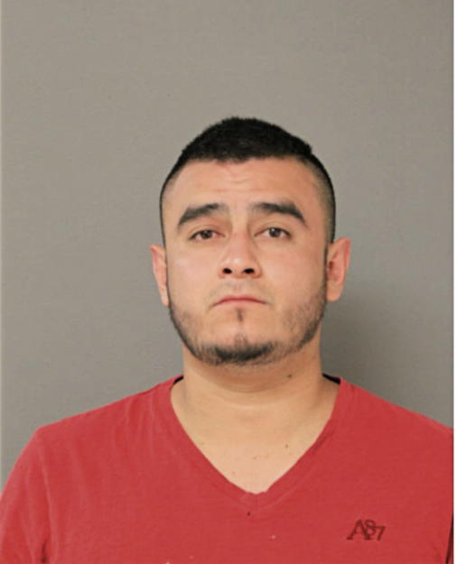 DAVID ZAMORANO-HERNANDEZ, Cook County, Illinois
