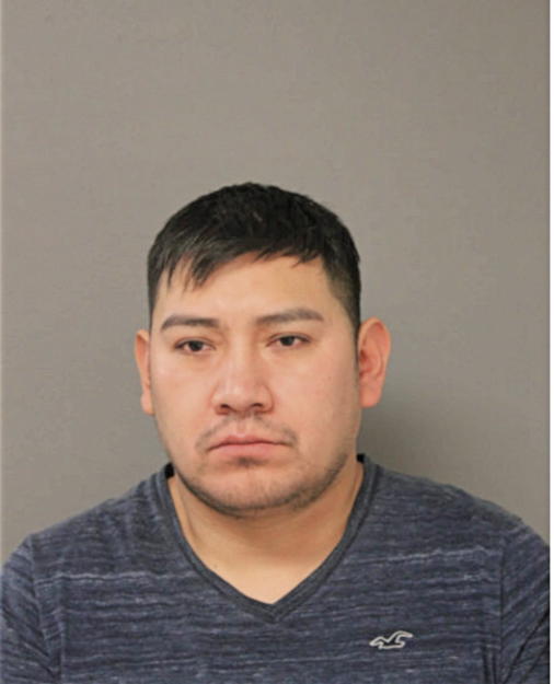 LUIS A ARREAGA, Cook County, Illinois