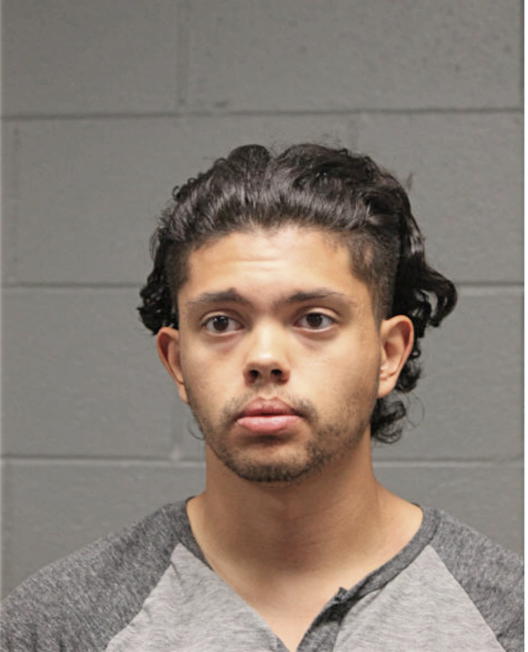 CARLOS O CASTRILLON, Cook County, Illinois
