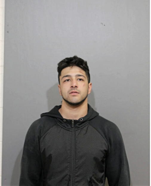 RAMIRO T CAZARES, Cook County, Illinois
