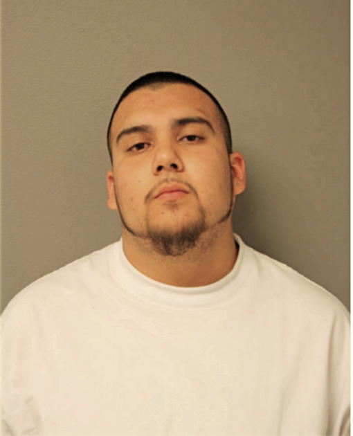 DANIEL R CHAVEZ, Cook County, Illinois