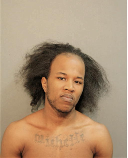MICHAEL A DAVIS, Cook County, Illinois