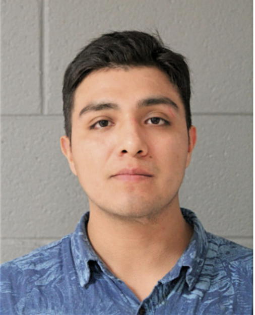 EDGAR DIAZ, Cook County, Illinois