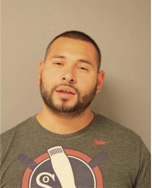 JESUS DOMINGUEZ, Cook County, Illinois