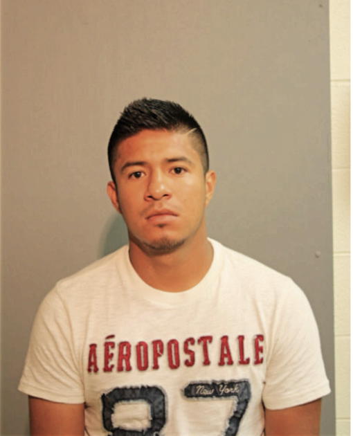 VICTOR DAVID ESTRADA-GANTE, Cook County, Illinois