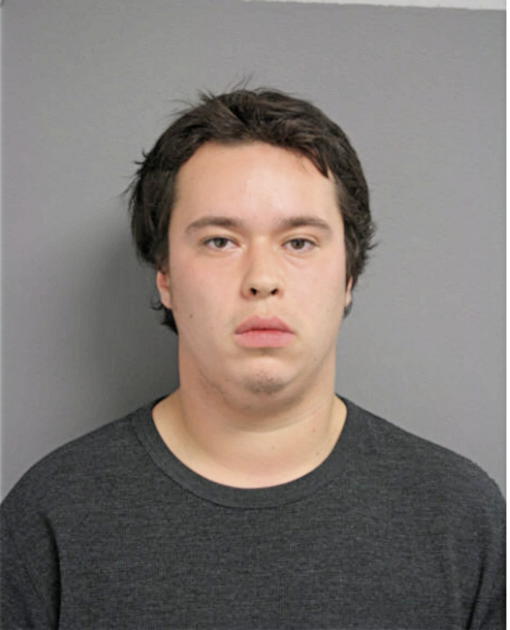 LUIS S GILES, Cook County, Illinois