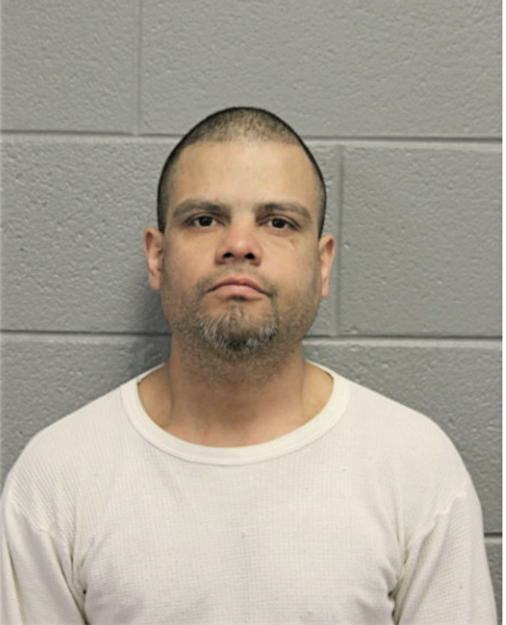 JAVIER L GONZALEZ, Cook County, Illinois