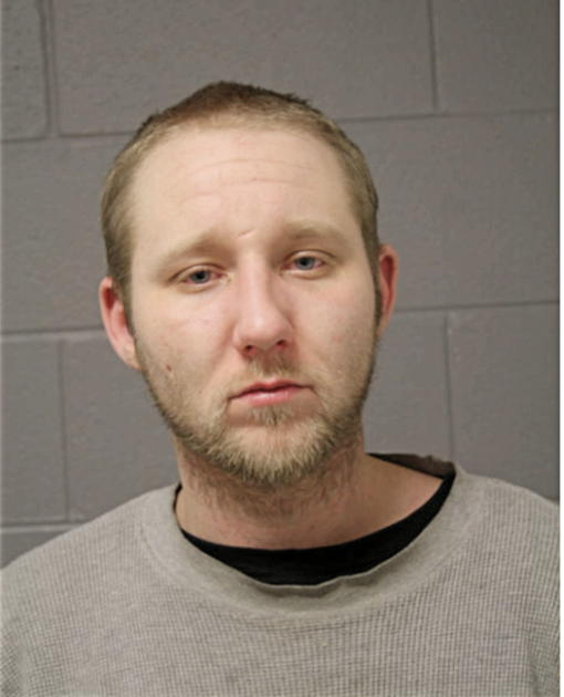 MATTHEW M GREEN, Cook County, Illinois