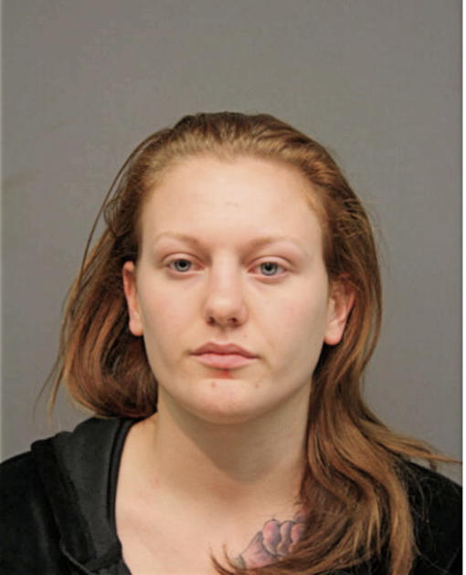 MEGAN A GREENE, Cook County, Illinois