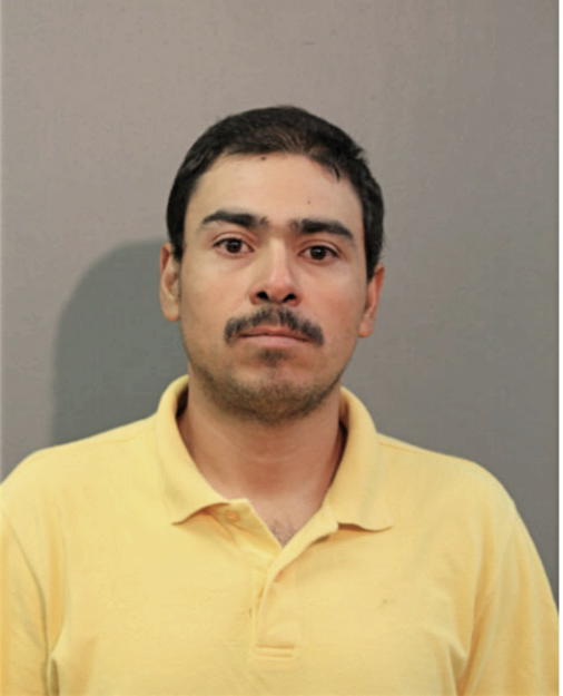 DIEGO GUZMAN, Cook County, Illinois