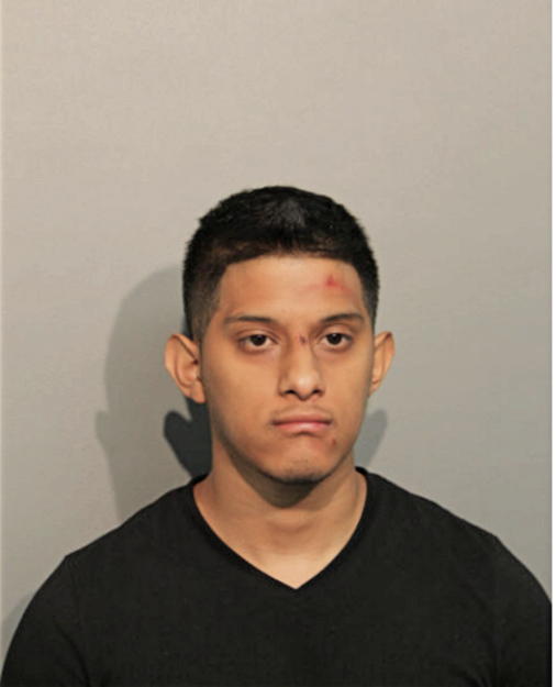 JOSE L HUAZANO, Cook County, Illinois