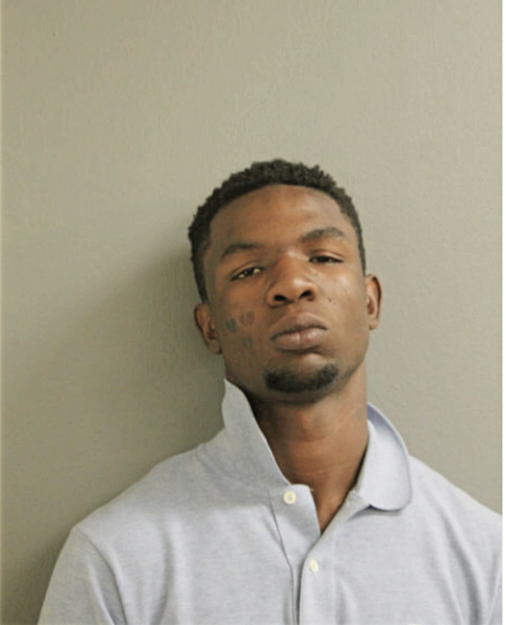 TERRANCE JOHNSON, Cook County, Illinois