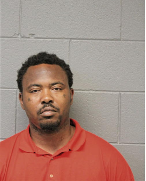 TIMOTHY L JOHNSON, Cook County, Illinois