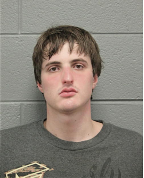 PAUL L LAMOUREUX, Cook County, Illinois