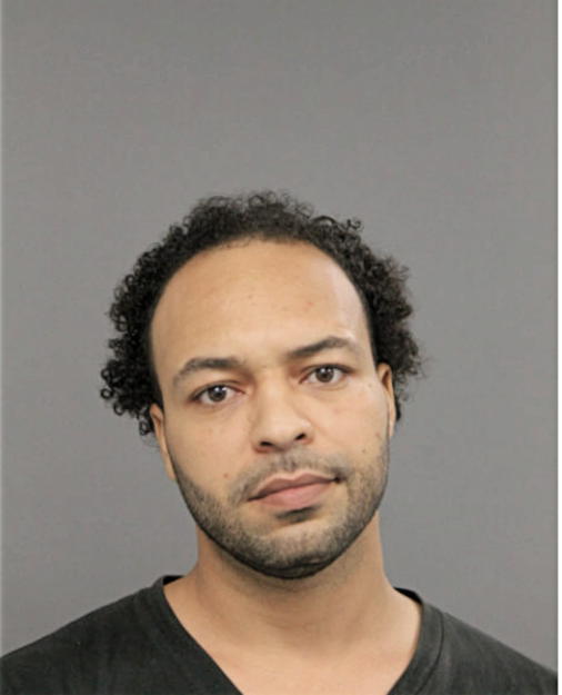 ROLANDO P LAND, Cook County, Illinois