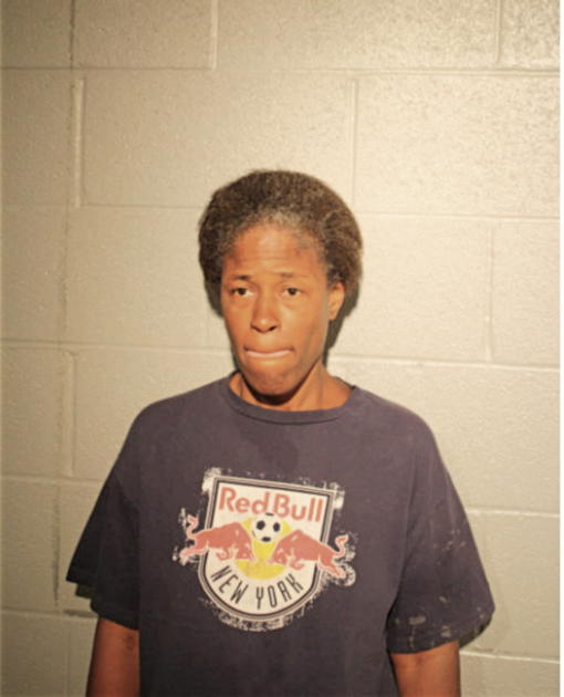 PATRICIA L LANE, Cook County, Illinois
