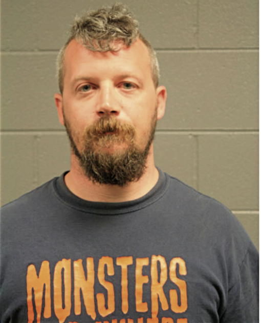 MICHAEL J MCALLISTER, Cook County, Illinois