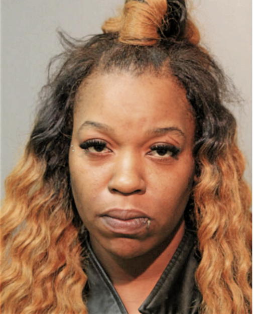 ERICA NICOLE MCGHEE, Cook County, Illinois